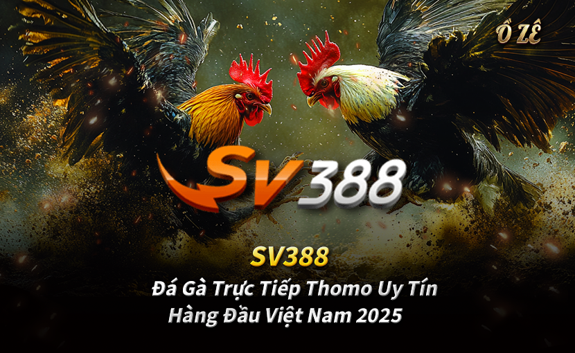 SV388 – Đá Gà Trực Tiếp Thomo Uy Tín Hàng Đầu Việt Nam 2025