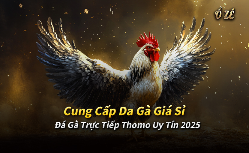 Cung Cấp Da Gà Giá Sỉ – Đá Gà Trực Tiếp Thomo Uy Tín 2025